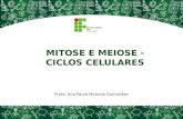 MITOSE E MEIOSE - CICLOS CELULARES Profa. Ana Paula Miranda Guimarães.