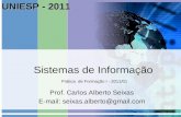 Sistemas de Informação Prof. Carlos Alberto Seixas E-mail: seixas.alberto@gmail.com Prática de Formação I - 2011/01 UNIESP - 2011.