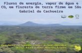 Fluxos de energia, vapor de água e CO 2 em floresta de terra firme em São Gabriel da Cachoeira Maria Rosimar P.S. Fernandes 1, Charles L. da Costa 2, Napoleão.
