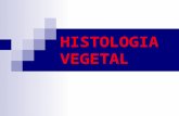 HISTOLOGIA VEGETAL. DEFINIÇÃO DE HISTOLOGIA: É o estudo dos tecidos vegetais. TECIDOS: conjunto de células  igualmente diferenciadas,  com a mesma organização,