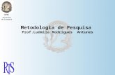 UFRJ Instituto de Economia Metodologia de Pesquisa Prof.Ludmila Rodrigues Antunes.