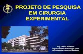 PROJETO DE PESQUISA EM CIRURGIA EXPERIMENTAL Ruy Garcia Marques Departamento de Cirurgia Geral Faculdade de Ciências Médicas.