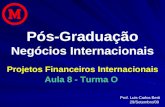 Pós-Graduação Negócios Internacionais Prof. Luis Carlos Berti 29/Setembro/09 Projetos Financeiros Internacionais Aula 8 - Turma O.