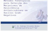 Métodos Fenotípicos para Detecção dos Mecanismos de Resistência Antimicrobiana em Bacilos Gram-Negativos Prof. Dr. Rodrigo Elisandro Mendes Pós-doutorando.