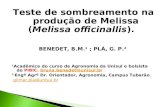Teste de sombreamento na produção de Melissa (Melissa officinallis). BENEDET, B.M.¹ ; PLÁ, G. P.² 1 Acadêmica do curso de Agronomia da Unisul e bolsista.