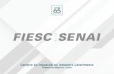 Cenário da Inovação na Indústria Catarinense Roberto de Medeiros Junior.