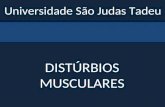 DISTÚRBIOS MUSCULARES Universidade São Judas Tadeu.