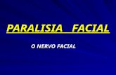 PARALISIA FACIAL O NERVO FACIAL. A EXPRESSÃO FACIAL é uma das habilidades humanas mais importantes que Existe. Os músculos da face são usados para : Os.