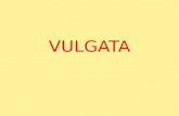 VULGATA. Vulgata O resultado do Concílio de Nicéia foi um cânon oficial que posteriormente foi traduzido pela primeira vez para uma única língua.