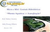 Micro e Mini Centrais Hidrelétricas “Plantas Aquáticas e Eutrofização” Prof. Nelson Teixeira Jader Picanço Ribeiro Botucatu / 2003.