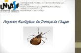 Aspectos Ecológicos da Doença de Chagas UNIVERSIDADE FEDERAL DO VALE DO SÃO FRANCISCO PET-SAÚDE PERFIL EPIDEMIOLÓGICO DA DOENÇA DE CHAGAS TUTOR: RICARDO.