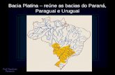 Bacia Platina – reúne as bacias do Paraná, Paraguai e Uruguai.