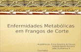 Enfermidades Metabólicas em Frangos de Corte Acadêmicos: Érica Siqueira de Souza Isabela Beloti Ferreira João Guilherme S. Cecchetto.