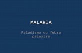 MALARIA Paludismo ou febre palustre. Características Gerais da Malária  Agente Etiológico: filo: Apicomplexa – família: Plasmodiidae, gênero: Plasmodium.