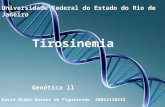 Tirosinemia David Brahe Nasser de Figueiredo 20062130232 Genética ll Universidade Federal do Estado do Rio de Janeiro.