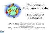 Conceitos e Fundamentos da Educação a Distância Profª Mára Lúcia Fernandes Carneiro Instituto de Psicologia SEAD – Núcleo de Apoio Pedagógico à EAD (NAPEAD)