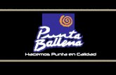 Quem Somos? Punta Ballena é uma empresa familiar que dedica-se a elaboração de produtos de confeitaria, cuja especialidade são os Alfajores. Missão: Somos.