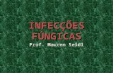 INFECÇÕES FÚNGICAS Prof. Mauren Seidl. INFECÇÕES FÚNGICAS SUPERFICIAIS Dermatofitoses ( Tineas) Onicomicoses Tinea Nigra Piedras Os dermatófitos são fungos.
