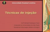Técnicas de injeção Universidade Estadual Londrina Universidade Estadual Londrina Enfª Michelli Rodrigues Tesin Graduada na Universidade de São Paulo Residente.
