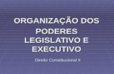Direito Constitucional II ORGANIZAÇÃO DOS PODERES LEGISLATIVO E EXECUTIVO.