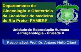 Unidade de Reprodução Humana e Imagenologia - Unidade V Departamento de Ginecologia e Obstetrícia da Faculdade de Medicina de Rio Preto - FAMERP Responsável: