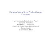 Campos Magnéticos Produzidos por Correntes Universidade Estadual do Piauí Campus Parnaíba Professor : Olímpio Sá Curso de Física 2 para Ciências da Computação.