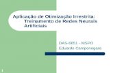 1 Aplicação de Otimização Irrestrita: Treinamento de Redes Neurais Artificiais DAS-6651 - MSPO Eduardo Camponogara.