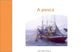 A pesca Filipe Miguel Botelho. Fatores naturais que influenciam a diversidade e quantidade de pescado A plataforma continental.