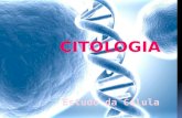 A Célula CitologiaMicroscópio  É a área da Biologia responsável pelo estudo da célula.  Depois do aprimoramento desse instrumento tornou- se possível.