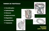 TUMOR DE TESTÍCULO José Calixto Urologista HUPD - HUUFMA 1- Considerações 2- Epidemiologia 3- Sintomas 4- Fatores de risco 5- Diagnóstico 6- Estadiamento.