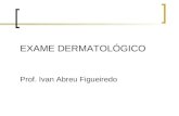 EXAME DERMATOLÓGICO Prof. Ivan Abreu Figueiredo. DERMATOLOGIA (Santamaria) Estudo da pele normal (tegumento, anexos) e suas alterações patológicas. A.