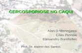 CERCOSPORIOSE NO CAQUI Alan D Menegassi Cilas Pinnow Elesandro Bornhofen Prof. Dr. Idalmir dos Santos.