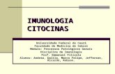 IMUNOLOGIA CITOCINAS Universidade Federal do Ceará Faculdade de Medicina de Sobral Módulo: Processos Patológicos Gerais Disciplina de Imunologia Prof.