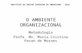 O AMBIENTE ORGANIZACIONAL Metodologia Profa. Ms. Maria Cristina Pavan de Moraes INSTITUTO DE ENSINO SUPERIOR DE AMERICANA - IESA.