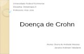 Doença de Crohn Universidade Federal Fluminense Disciplina: Dietoterapia 3 Professora: Ana Lúcia Alunas: Bruna de Andrade Messias Janaína Andreani Valadares.