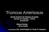 Truncus Arteriosus Escola Superior de Ciências da Saúde Serviço de Pediatria – HRAS Brasília-DF Eliones Dantas Eliones Dantas Érica Coelho Érica Coelho.