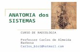 ANATOMIA dos SISTEMAS CURSO DE RADIOLOGIA Professor Carlos de Almeida Barbosa Carlos_bio1@hotmail.com.