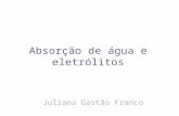 Absorção de água e eletrólitos Juliana Gastão Franco.