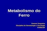 Metabolismo do Ferro Carmen Vergueiro Disciplina de Hematologia e Oncologia FCMSCSP Carmen Vergueiro Disciplina de Hematologia e Oncologia FCMSCSP.