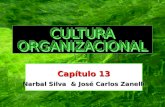 Antonio Virgilio B. Bastos UFBa Capítulo 13 Narbal Silva & José Carlos Zanelli.
