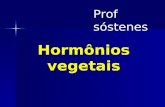 Hormônios vegetais Prof sóstenes. HORMÔNIOS VEGETAIS Substâncias químicas produzidas por células especiais do organismo, agem como mensageiros químicos,