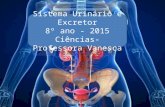 Sistema Urinário e Excretor 8º ano - 2015 Ciências- Professora Vanesca.