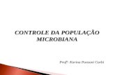 CONTROLE DA POPULAÇÃO MICROBIANA Profª: Karina Ponsoni Corbi.