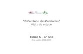 “O Caminho das Cutelarias” Visita de estudo Turma G – 6º Ano Ano Lectivo 2008/2009.