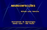 NEUROINFECÇÕES Wilson Luiz Sanvito Disciplina de Neurologia Santa Casa – São Paulo Disciplina de Neurologia Santa Casa – São Paulo.