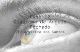 Caso 12 Glaucoma de Ângulo Fechado Lívia Vieira dos Santos.
