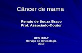 Câncer de mama Renato de Souza Bravo Prof. Associado-Doutor UFF/ HUAP Serviço de Ginecologia 2010.
