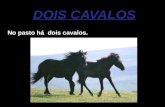 DOIS CAVALOS No pasto há dois cavalos. De longe, parecem cavalos normais, mas quando se olha bem, percebe-se que um deles é cego.