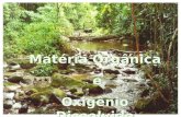 Matéria Orgânica e Oxigênio Dissolvido Matéria Orgânica e Oxigênio Dissolvido.