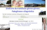 Síndrome da transfusão gêmeo-gêmeo: Patogênese e diagnóstico Apresentação: Aline D. de C. Cardoso – R4 UTIN HRAS/HMIB/SES/DF Coordenação : Tatiane Melo.